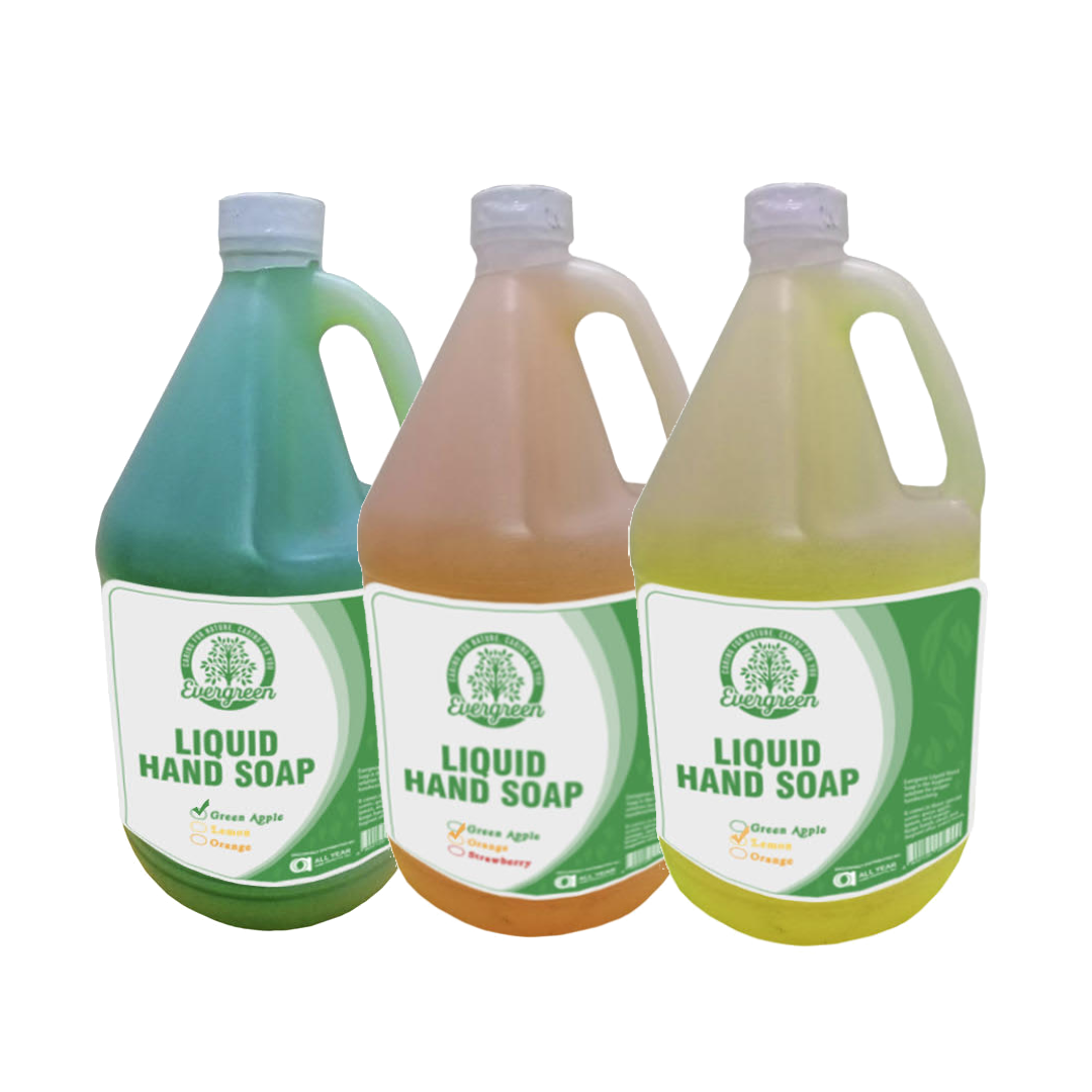 Evergreen Liquid Hand Soap